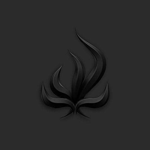 Very Tomorrow black flame Japan Music CD