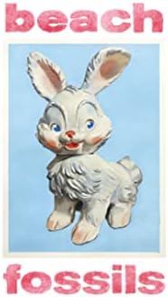 Beach Fossils bunny Japan Music CD