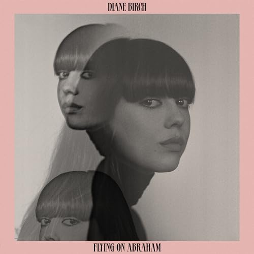 diane birch flying on abraham Japan Music CD