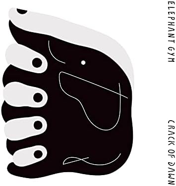 ELEPHANT GYM CRACK OF DAWN Japan Music CD