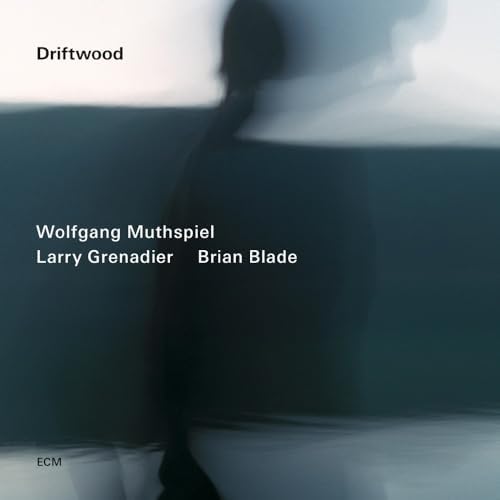 wolfgang moospeel Driftwood (Limited Edition) (SHM-CD) Japan Music CD