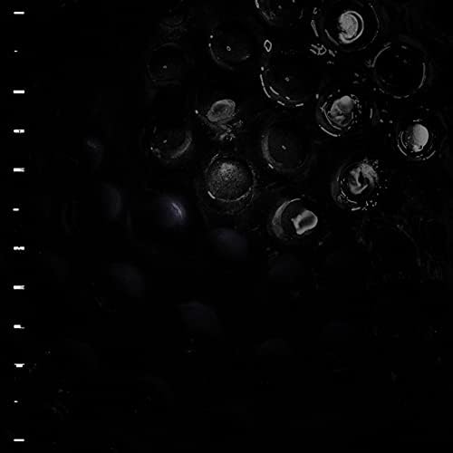 Crumbs Ice Melt [with bonus track download] Japan Music CD
