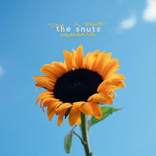 The Snuts Joy In Short Moments (SHM-CD) Japan Music CD
