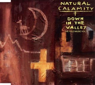 NATURAL CALAMITY DOWN IN THE VALLY Japan Music CD