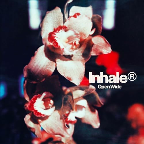 inhaler open wide Japan Music CD
