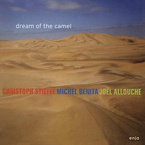 Christoph Stiefel Trio Dream of the Camel Japan Music CD