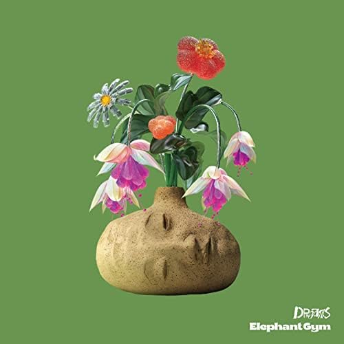 ELEPHANT GYM Dreams Japan Music CD