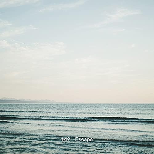 14? Escape Japan Music CD