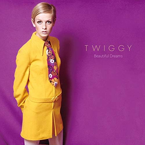 Twiggy Beautiful Dreams Japan Music CD BONUS TRACK