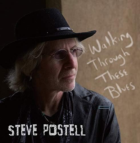 Steve Postel Walking Through These Blues Japan Music CD