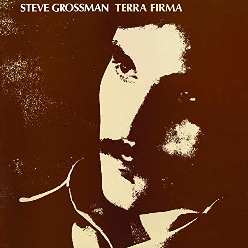 Steve Grossman Terra Firma Japan Music CD