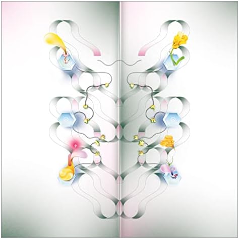 Matthew David Mycelium Music Japan Music CD