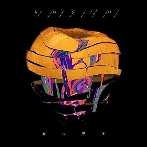NILFRUITS NOMAN NILFRUITS Japan Music CD^