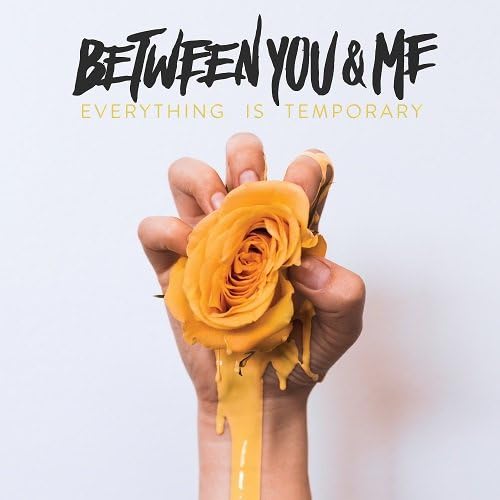 Bitween You & Me Everything Is Temporary Japan Music CD