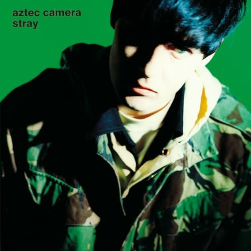 Aztec Camera Stray Japan Music CD