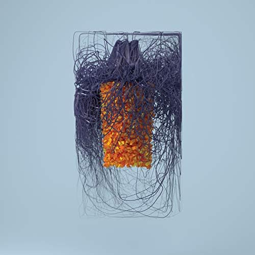 PLAID Polymer [commentary, 1 bonus track included / Japanese edition] (BRC601) J