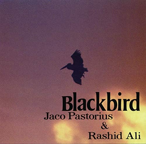 Jaco Pastorius, Rashid Ali Blackbird [50 years of timeless jazz] Japan Music CD