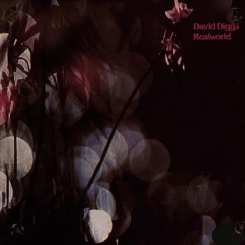 david diggs Real World [Paper Jacket] Japan Music CD