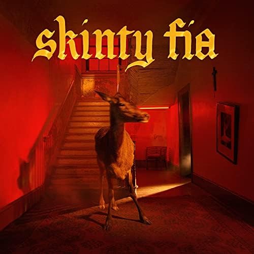 Fontaines, D.C. SKINTY FIA Japan Music CD