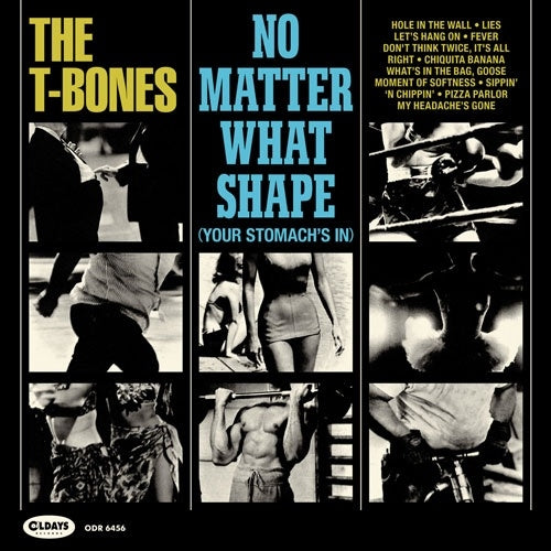 The T-Bones No Matter What Shape Japan Music CD