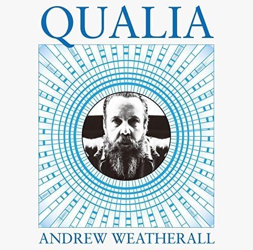 Andrew Weatherall qualia Japan Music CD