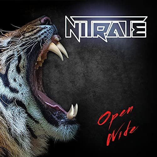 NITRATE Open Wide Japan Music CD