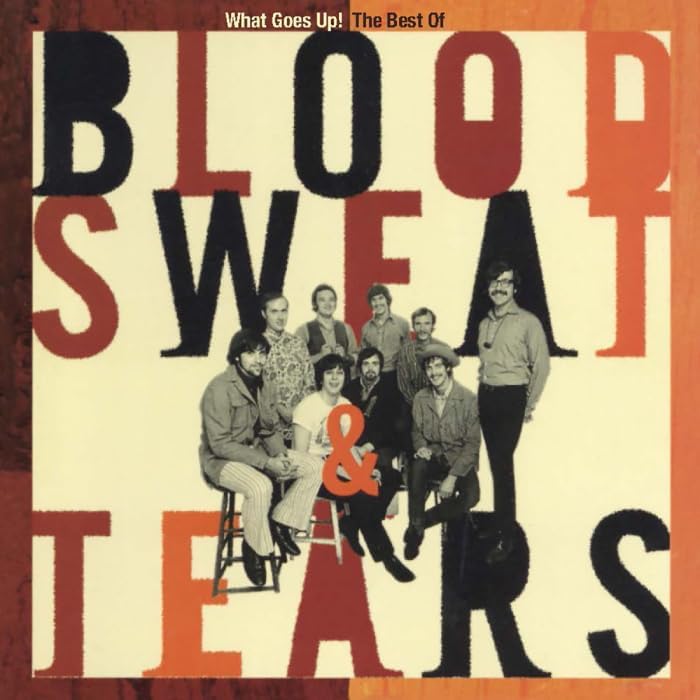 Blood, sweat and tea What Goes Up!: The Best of (2CD) Japan Music CD