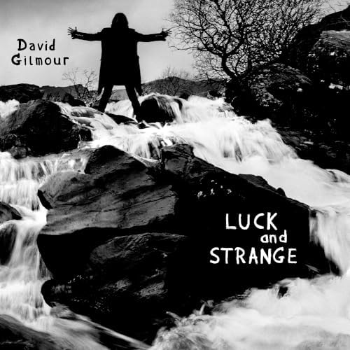 David Gilmore Luck and Strange Japan Music CD