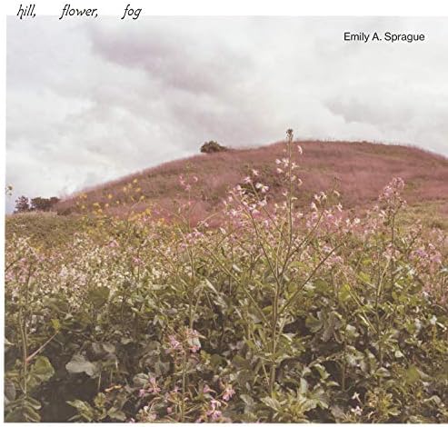 Emily A. Sprague Hill, Flower, Fog Japan Music CD