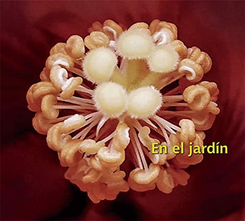YOTAM SILBERSTEIN, C EN EL JARDIN Japan Music CD