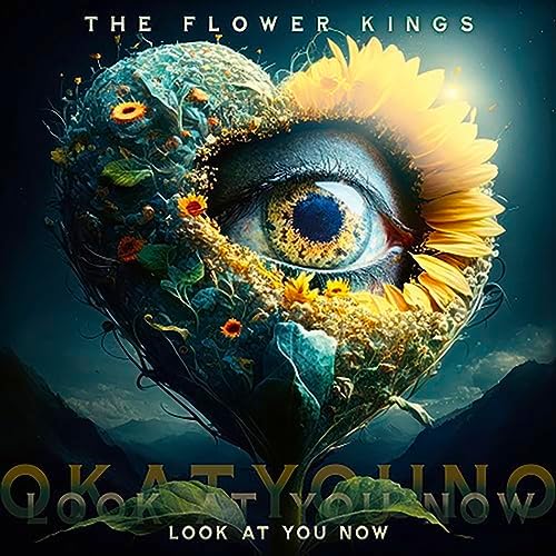 The Flower Kings Look at You Now Japan Music CD