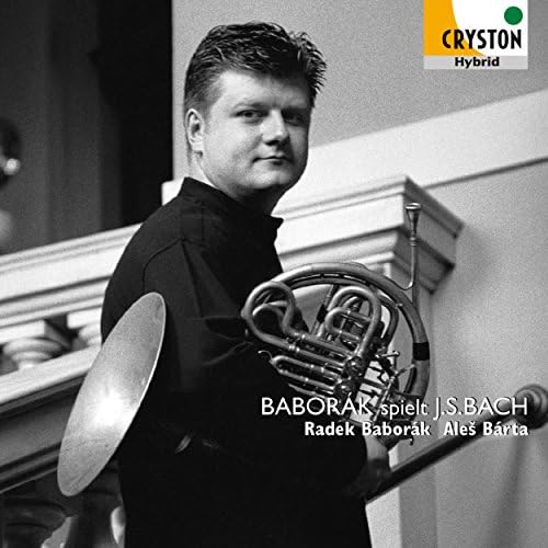 Radek Baborak Bach: Sleepers, Awake Sonata & Chorale Collection Japan Music CD*