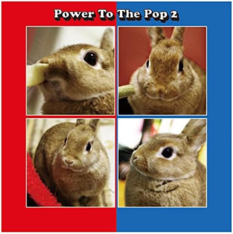 Various Power To The Pop 2 Japan Music CD