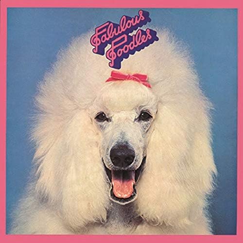 Fabulous Poodles rebellion without reason Japan Music CD