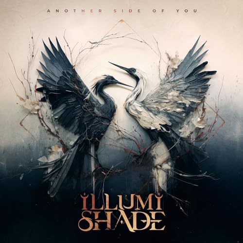 illumination shade Another Side of You Japan Music CD