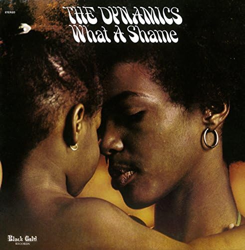 The Dynamics WHAT A SHAME +11 Japan Music CD