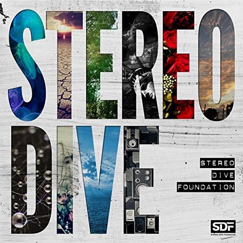STEREO DIVE Japan Music CD