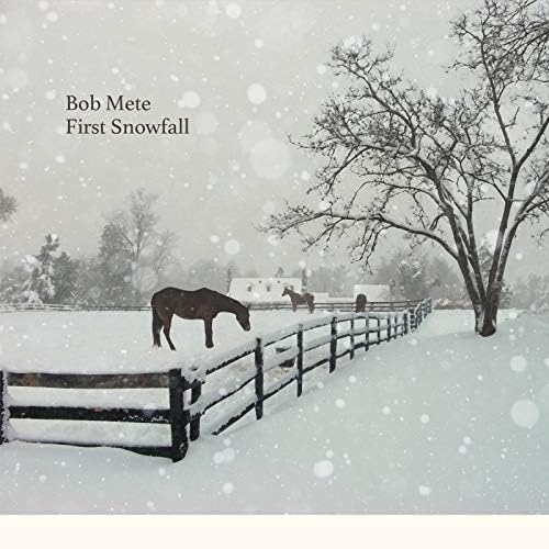 Bob Metty First Snowfall Japan Music CD