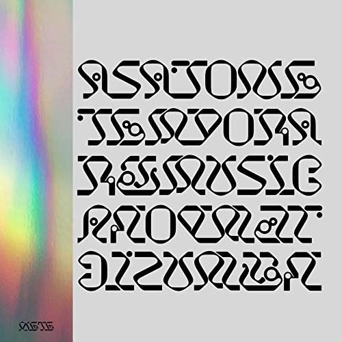 Asa Tone Temporary Music Japan Music CD