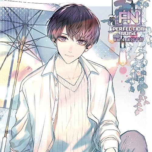 PERFECTION NOISE Vol.4 Chisato Kinomiya Japan Music CD