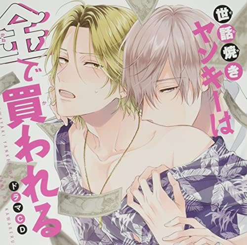 A caretaker Yankee is bought with money Japan Music CD