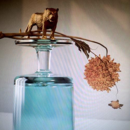 Beirut Gallipoli Japan Music CD