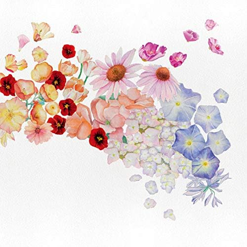 Gretchen Parlat flor Japan Music CD