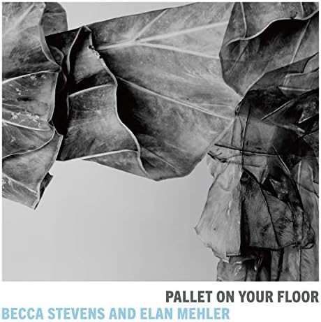 Becca Stevens & Elan Pallet on your floor Japan Music CD