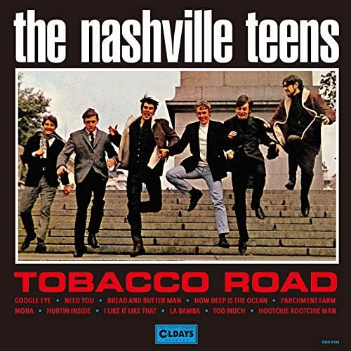 The Nashville Teens tobacco road Japan Music CD Bonus Track