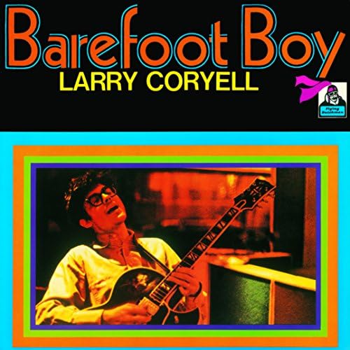 larry coryell Barefoot Boy [JAZZ Revolution Discount Edition] Japan Music CD