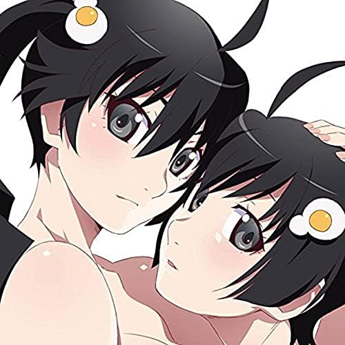 Nisemonogatari & Nekomonogatari (Black) Original Soundtracks Japan Music CD