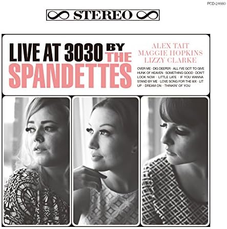 The Spandets live at 3030 Japan Music CD
