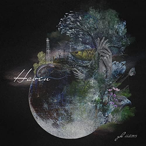 yk (Hello1103) Haven Japan Music CD