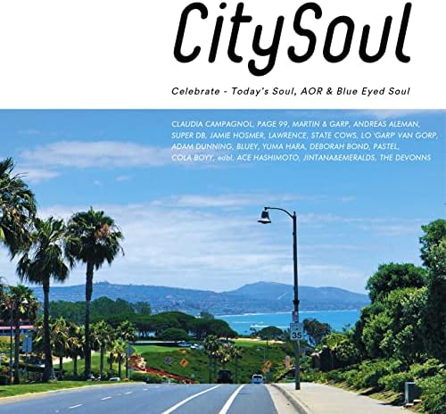 V.A. City Soul: Celebrate - Today's Soul, AOR & Blue Eyed Soul Japan Music CD